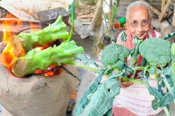 পৃথিবীর সবচেয়ে অদ্ভুত রান্না কিভাবে হয়? জানলে চমকে উঠবেন!..