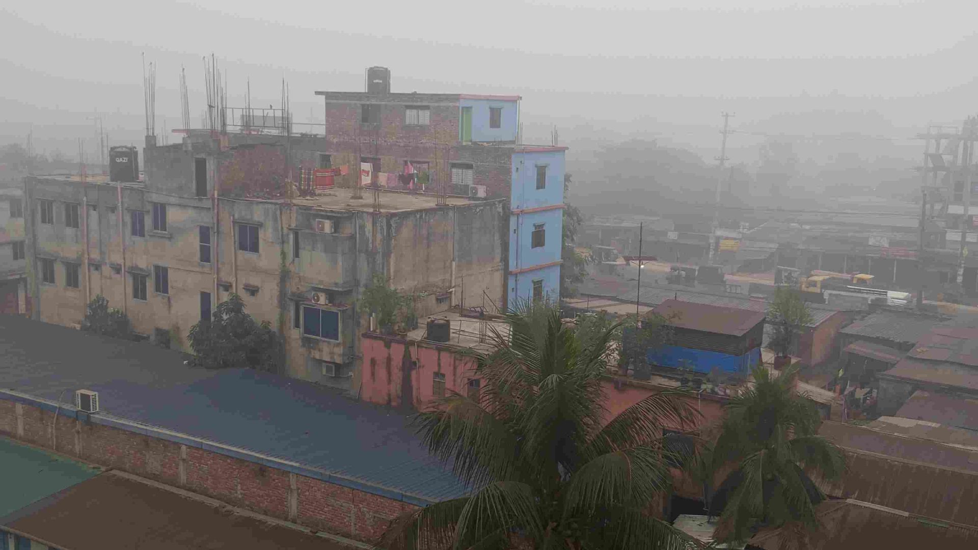 🪄Magical Egg | জাদুর ডিম | Bengali cartoon| Cartoons | Bengla cartoon  | ডিমের গাছ |#new#বাংলা #[4