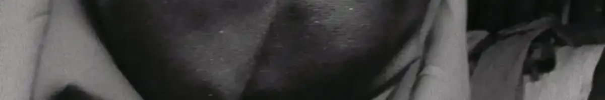 Lxjidon