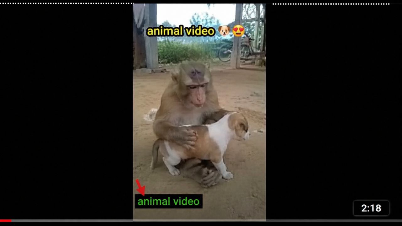 Wrong Thumbnail
